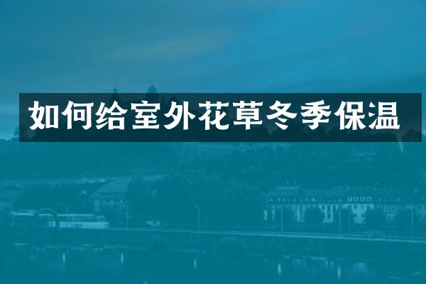如何给室外花草冬季保温