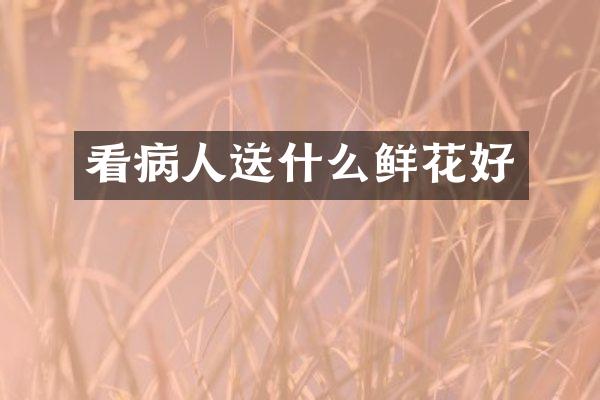 看病人送什么鲜花好