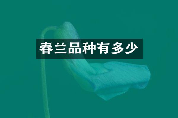 春兰品种有多少