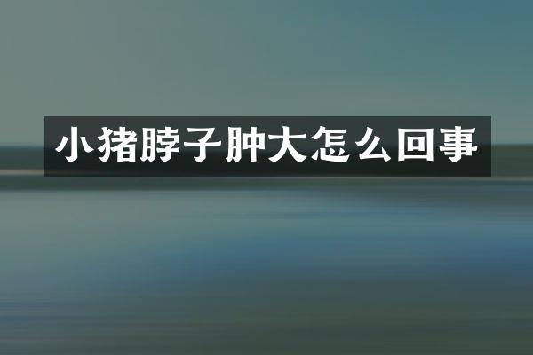 小猪脖子肿大怎么回事