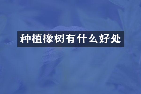 种植橡树有什么好处