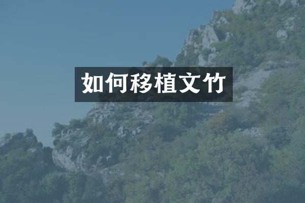 如何移植文竹