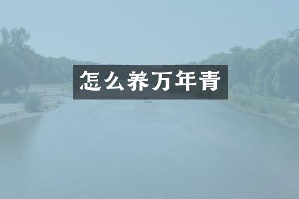 怎么养万年青