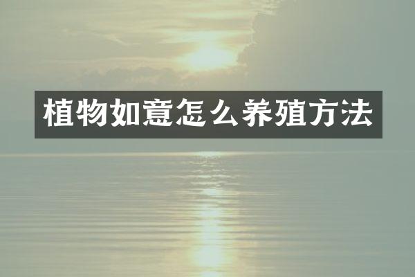 植物如意怎么养殖方法