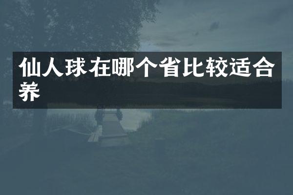 仙人球在哪个省比较适合养
