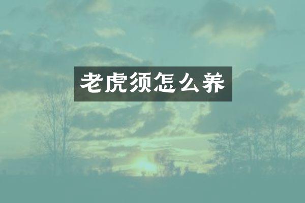 老虎须怎么养