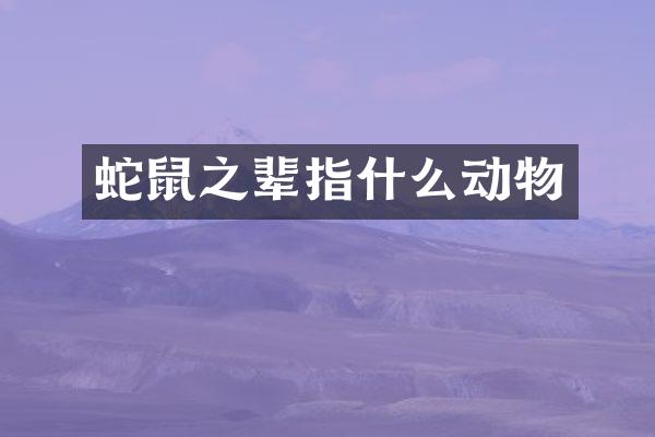 蛇鼠之辈指什么动物