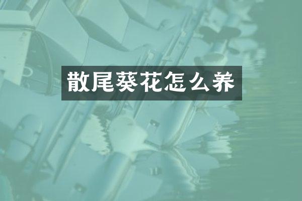 散尾葵花怎么养