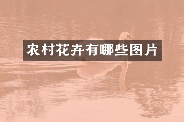 农村花卉有哪些图片