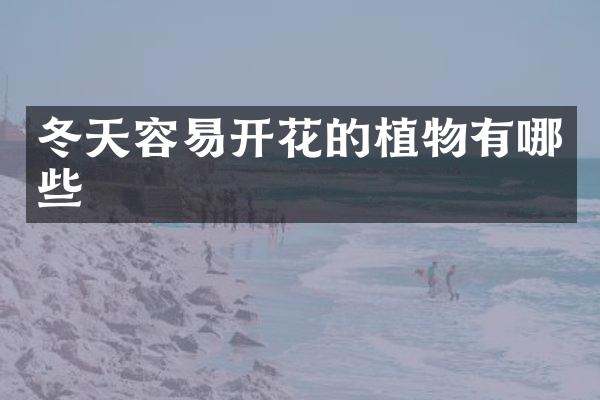 冬天容易开花的植物有哪些