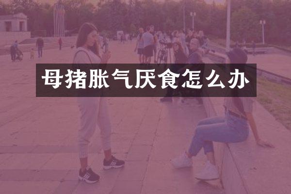 母猪胀气厌食怎么办