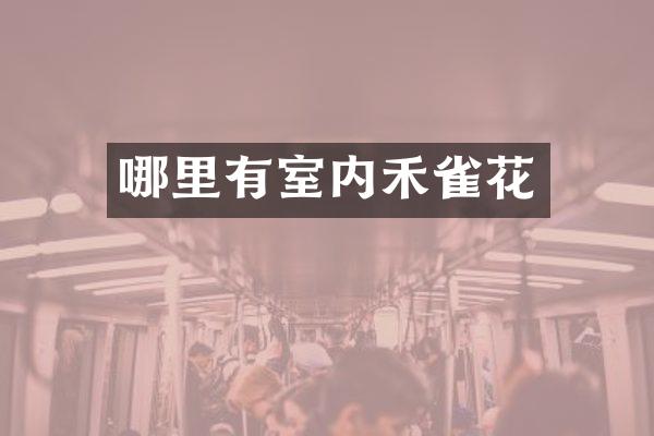 哪里有室内禾雀花