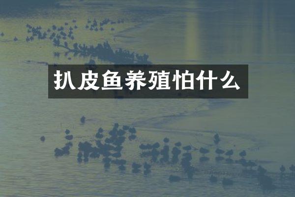 扒皮鱼养殖怕什么