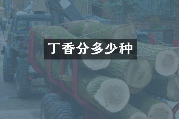 丁香分多少种