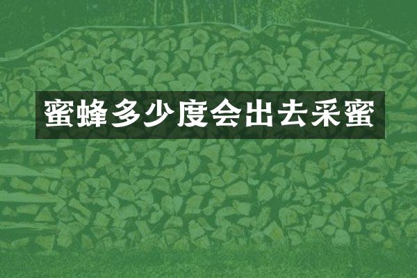 蜜蜂多少度会出去采蜜