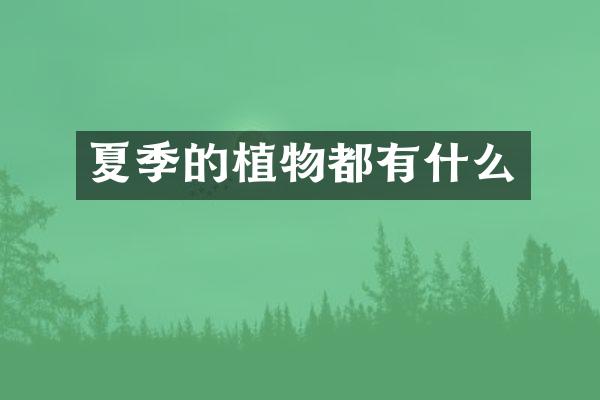 夏季的植物都有什么