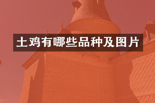 土鸡有哪些品种及图片