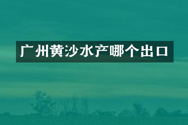 广州黄沙水产哪个出口