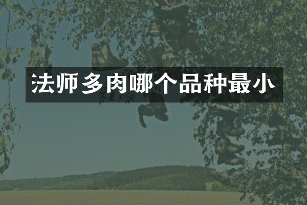 法师多肉哪个品种最小