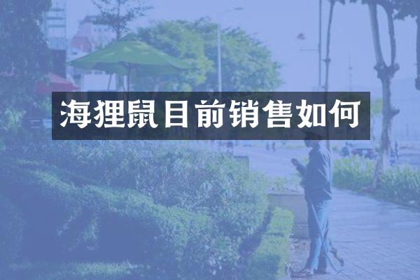 海狸鼠目前销售如何