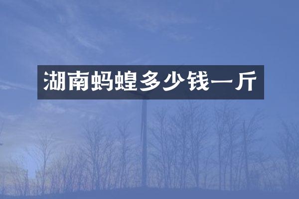 湖南蚂蝗多少钱一斤