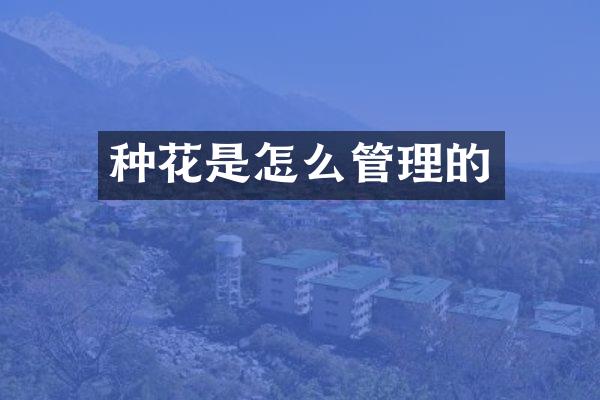 种花是怎么管理的