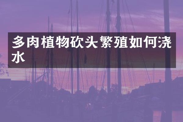 多肉植物砍头繁殖如何浇水