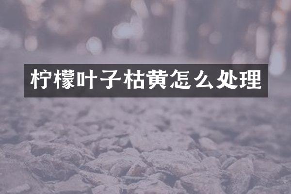 柠檬叶子枯黄怎么处理