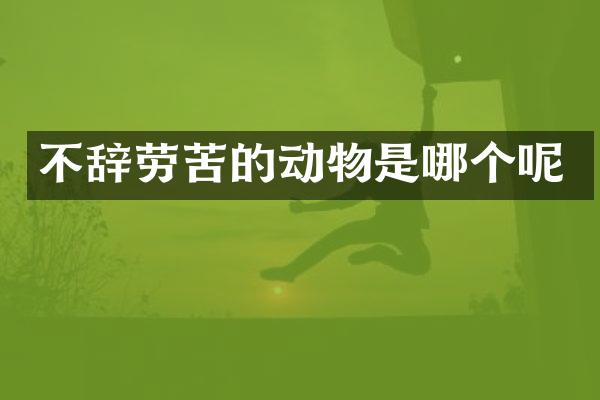 不辞劳苦的动物是哪个呢