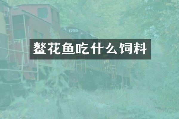 鳌花鱼吃什么饲料