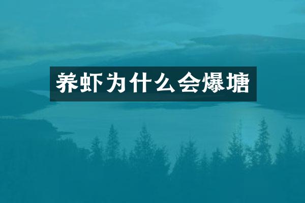 养虾为什么会爆塘
