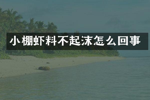 小棚虾料不起沫怎么回事