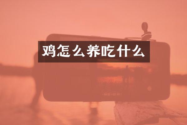 鸡怎么养吃什么