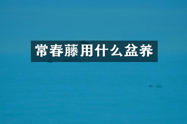 常春藤用什么盆养