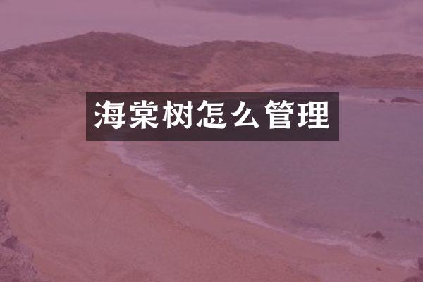 海棠树怎么管理