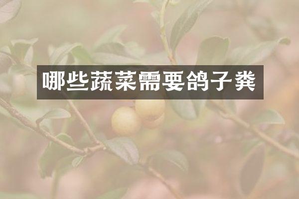 哪些蔬菜需要鸽子粪