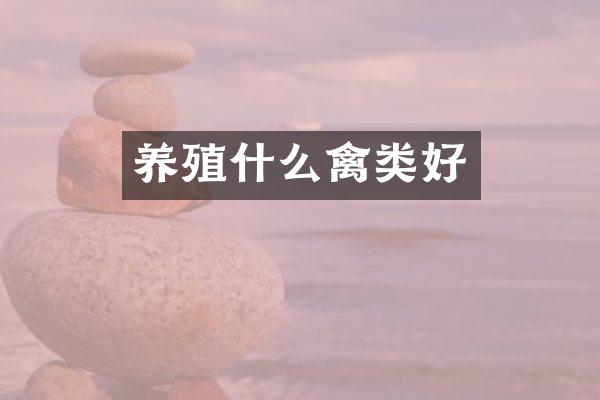 养殖什么禽类好
