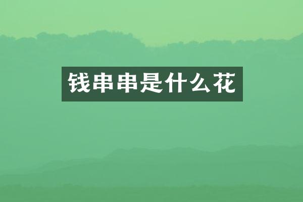 钱串串是什么花