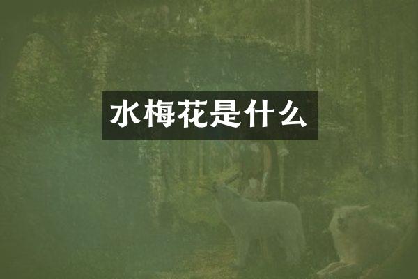 水梅花是什么