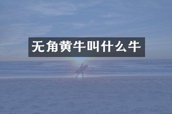无角黄牛叫什么牛