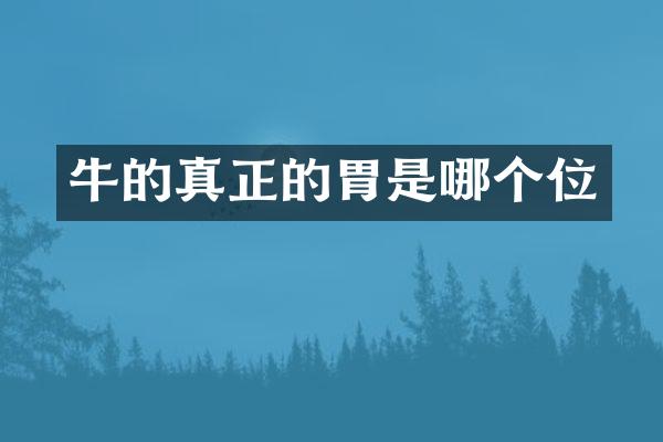 牛的真正的胃是哪个位