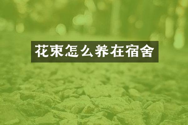 花束怎么养在宿舍