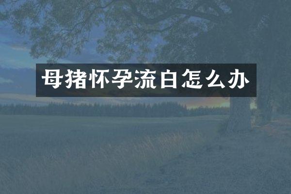 母猪怀孕流白怎么办