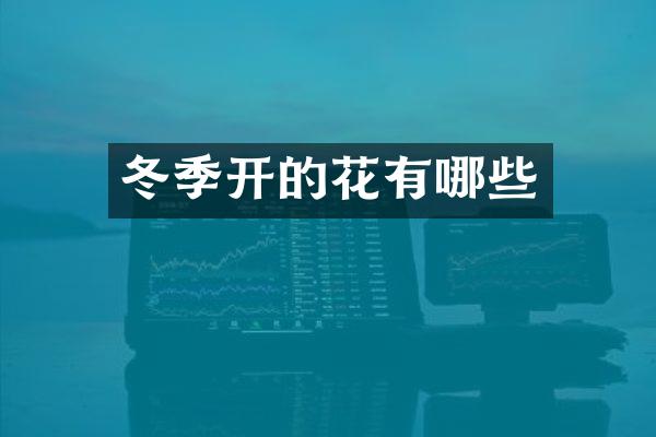 冬季开的花有哪些