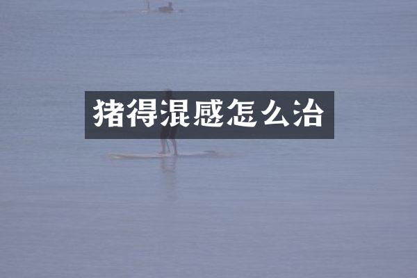 猪得混感怎么治