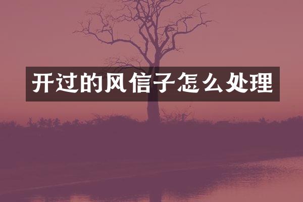 开过的风信子怎么处理