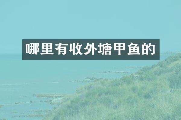哪里有收外塘甲鱼的