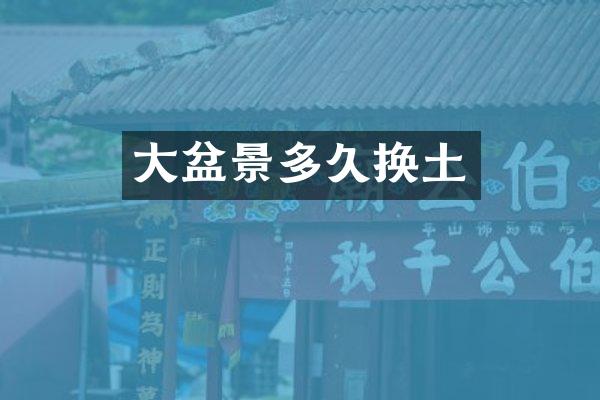 大盆景多久换土