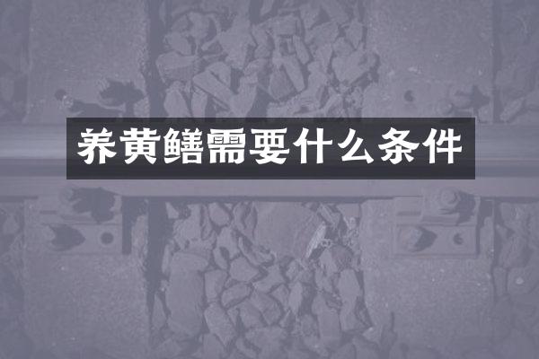 养黄鳝需要什么条件