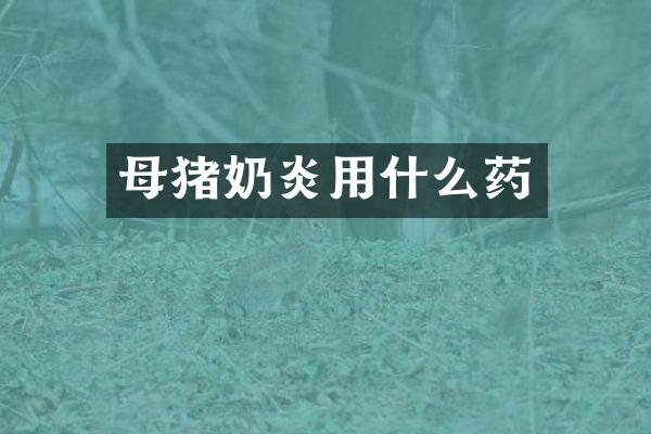 母猪奶炎用什么药